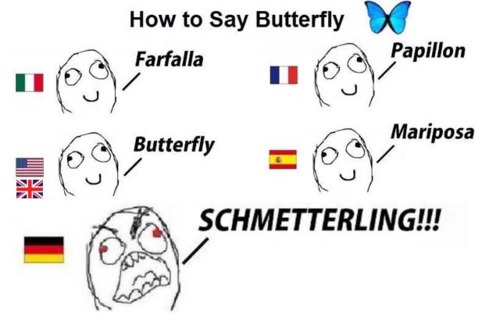 funny-pictures-german-language-meme-0