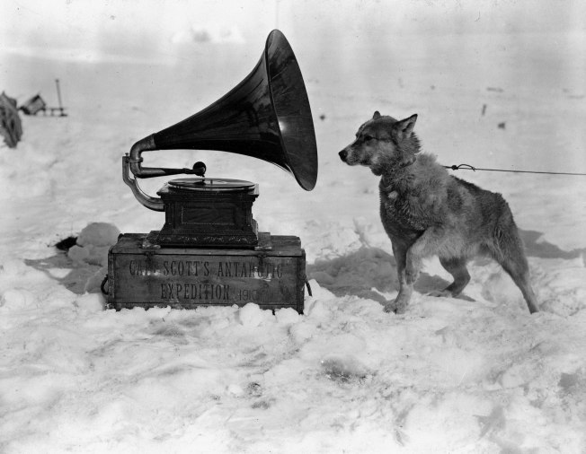 ponting_1911_dog_listening_to_gramophone_antartica-1