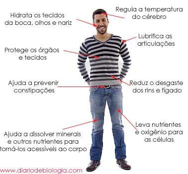 A importância da água em nosso organismo