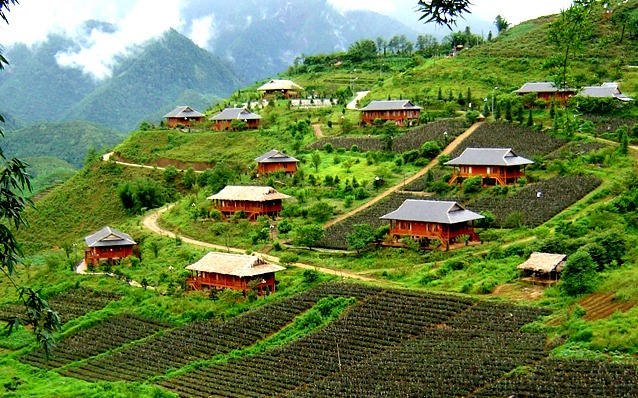 sapa