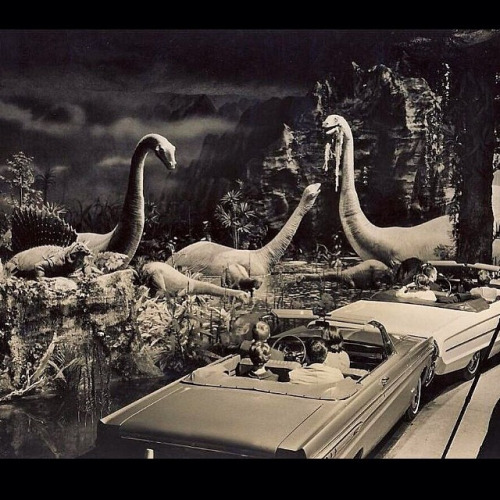 tumblr_n4gn3hwA9X1s6mfc6o1_500