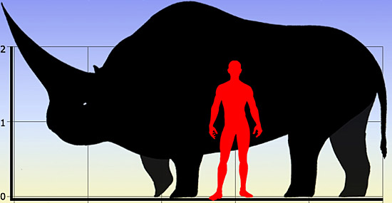 Tamanho comparativo do animal com o homem