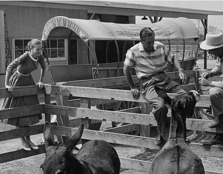 Owen e Dolly Pope: A História dos únicos Moradores da&nbsp;Disneylândia